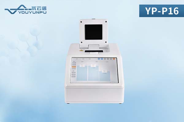 YP-P16-3 YP-P16-3